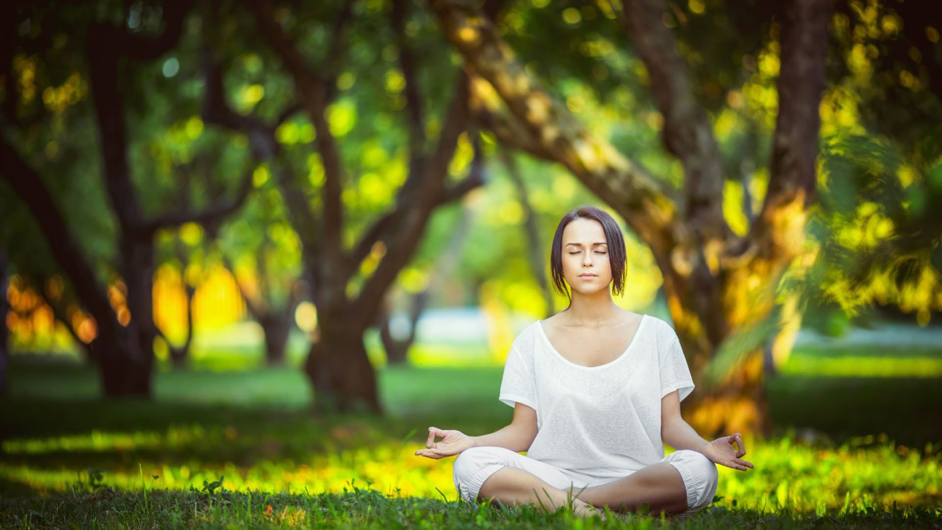 Tencent-三线出击风云突变，黄蜂回应争议，罗马觅良机，首钢创里程碑